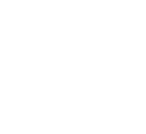 Exterior & Interior Paint General Carpentry Framing, Drywall, Plaster Electrical, Plumbing Carpet, Hardwood Floors Tile, Ceramic, Porcelain Windows Installations New Kitchen & Bathrooms Basements & Additions